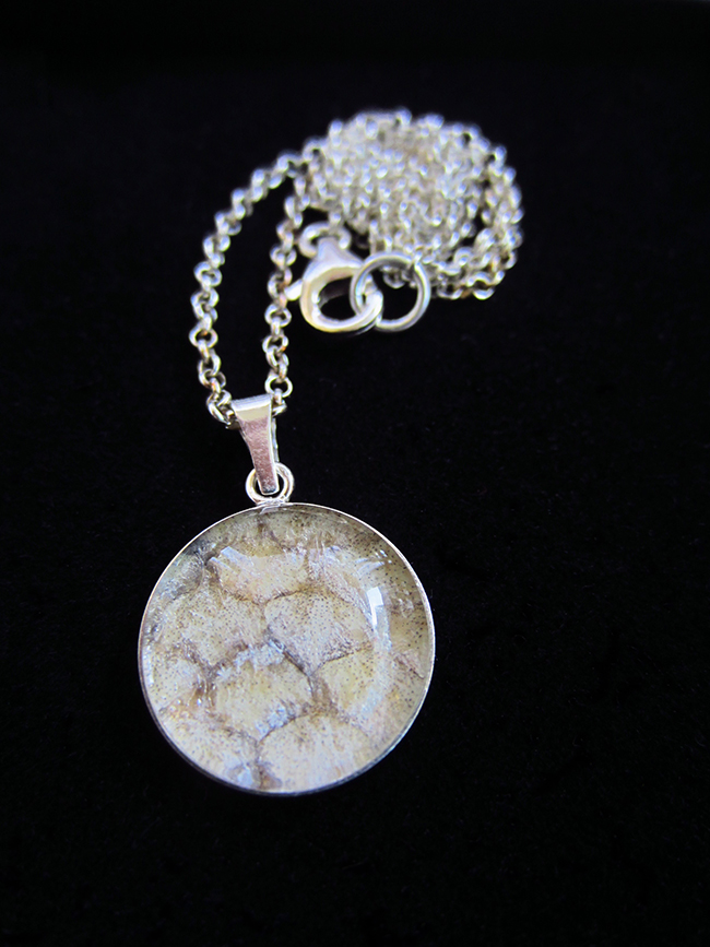necklace fish
