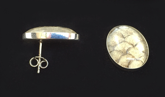 earstuds